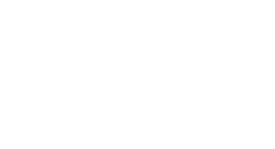award 2013 Silver Diana
